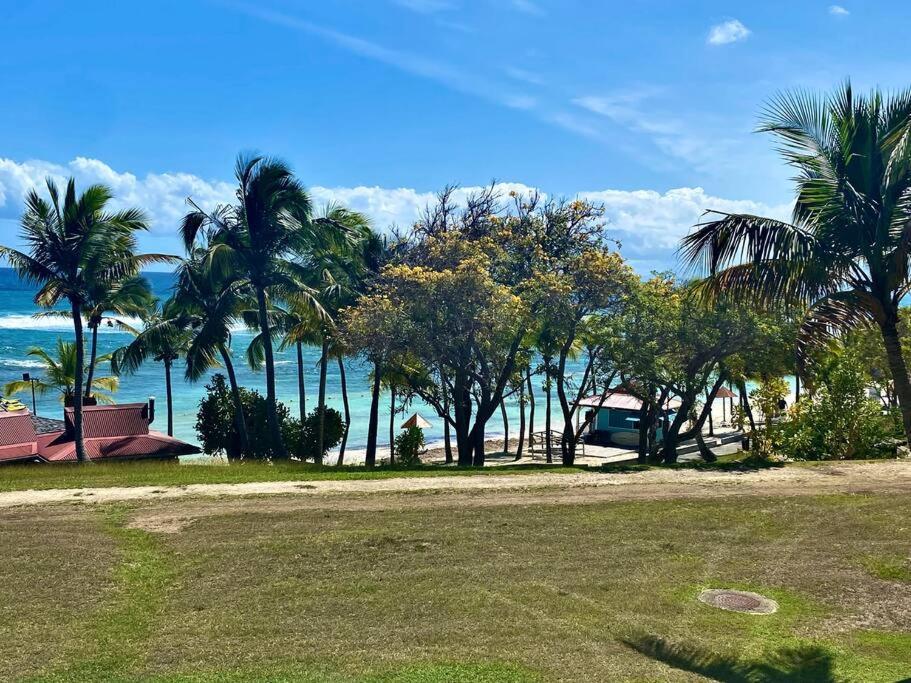 Le Paradis Zen 1er Etage Et Rdc Vue Et Ste Anne