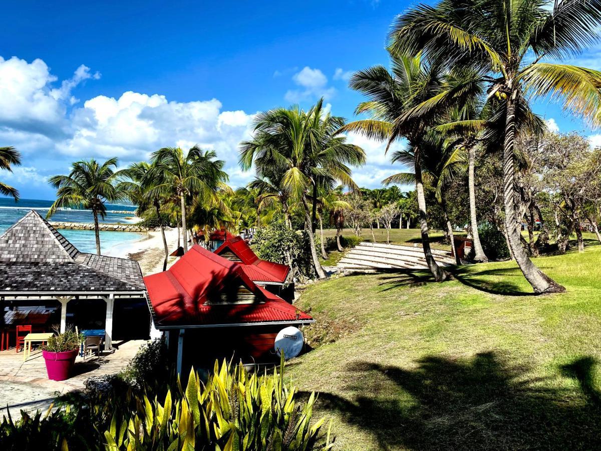 Le Paradis Zen 1er Etage Et Rdc Vue Et Ste Anne Appartement