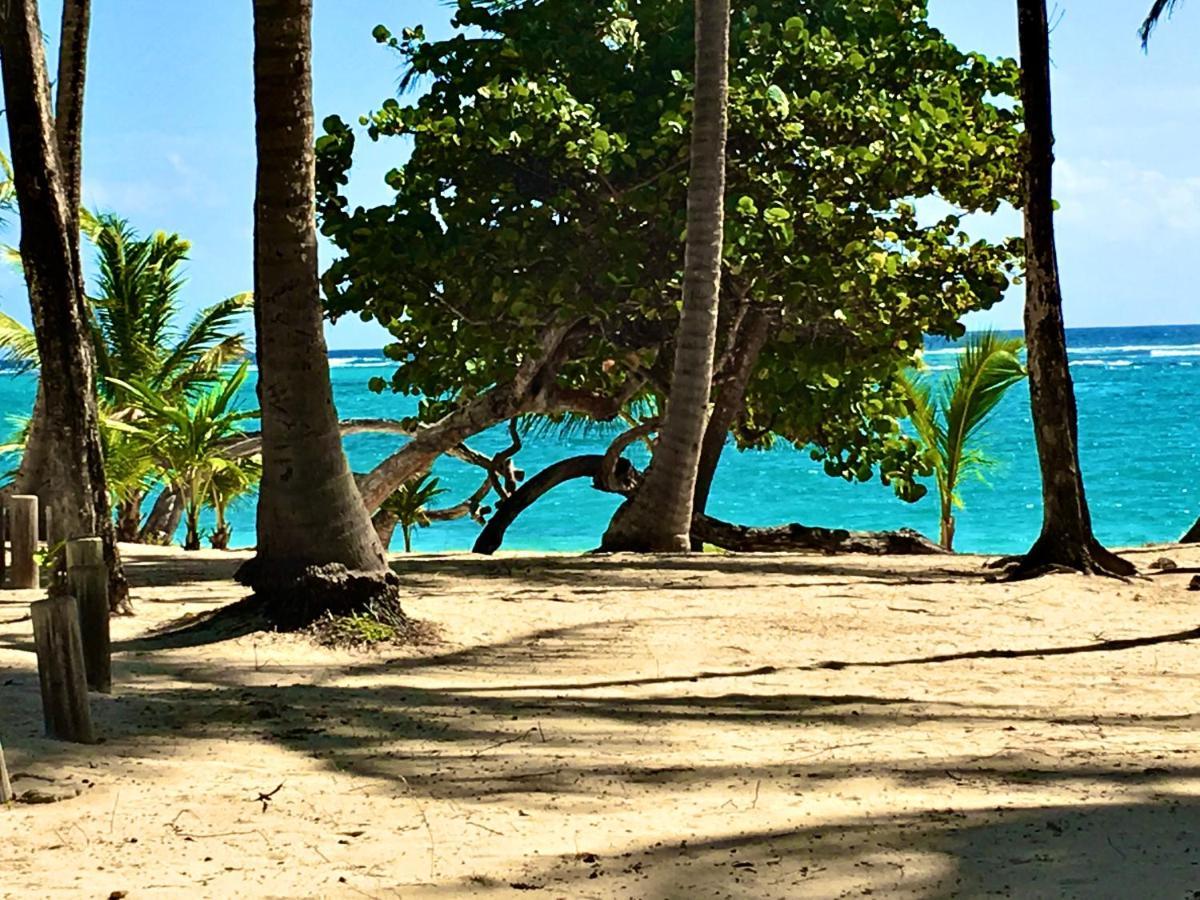 Le Paradis Zen 1er Etage Et Rdc Vue Et Ste Anne *