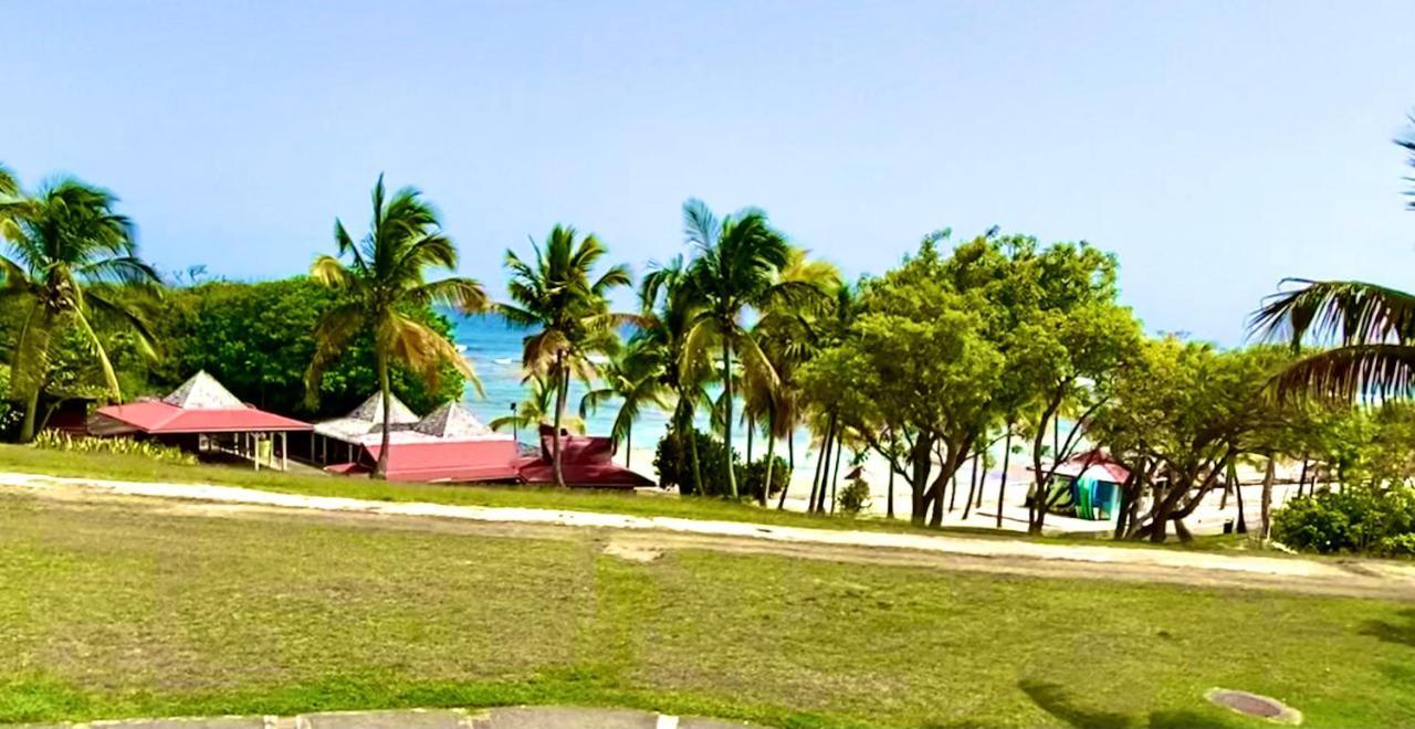 Le Paradis Zen 1er Etage Et Rdc Vue Et Ste Anne Appartement *
